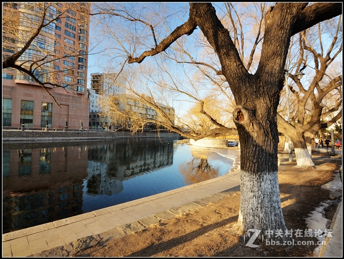 #ZOL月赛-新年#南湖公园CPL滤镜试镜