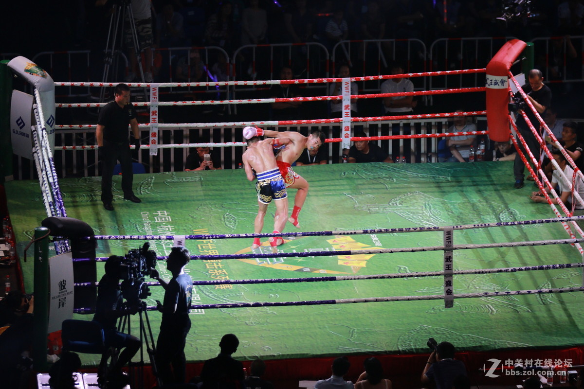 武王争霸～～～～～～﹗