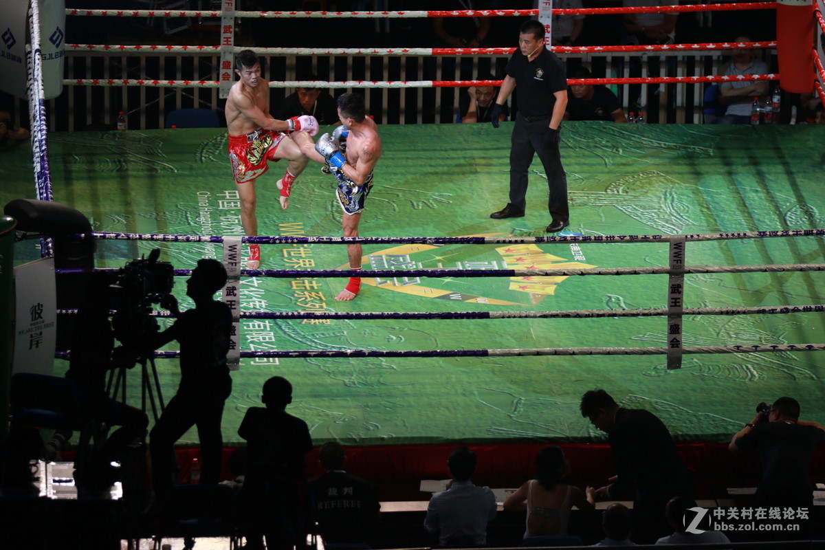 武王争霸～～～～～～﹗