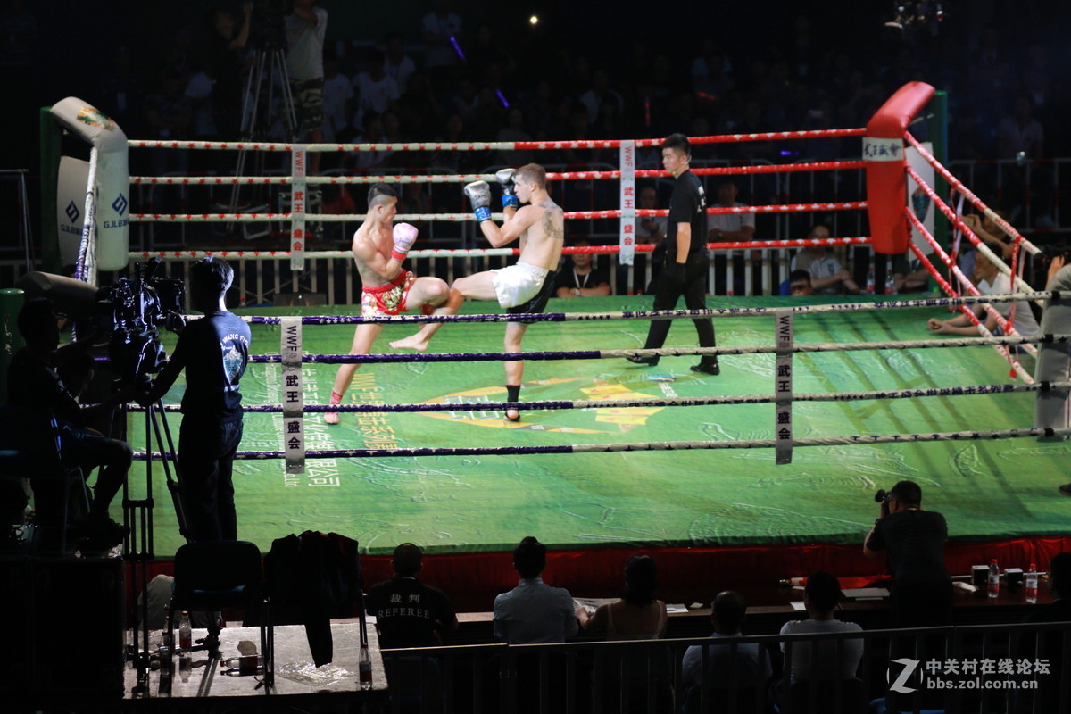 武王争霸～～～～～～﹗