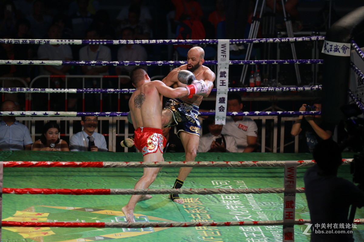 武王争霸～～～～～～﹗