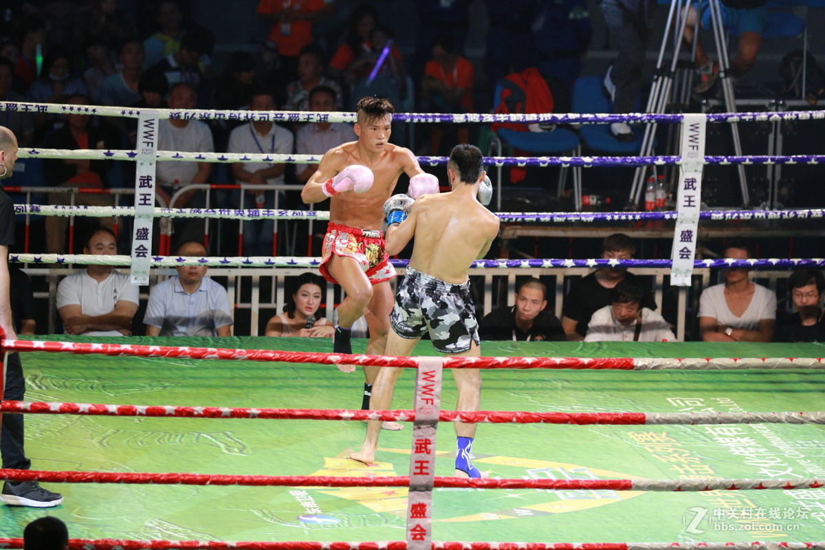 武王争霸～～～～～～﹗