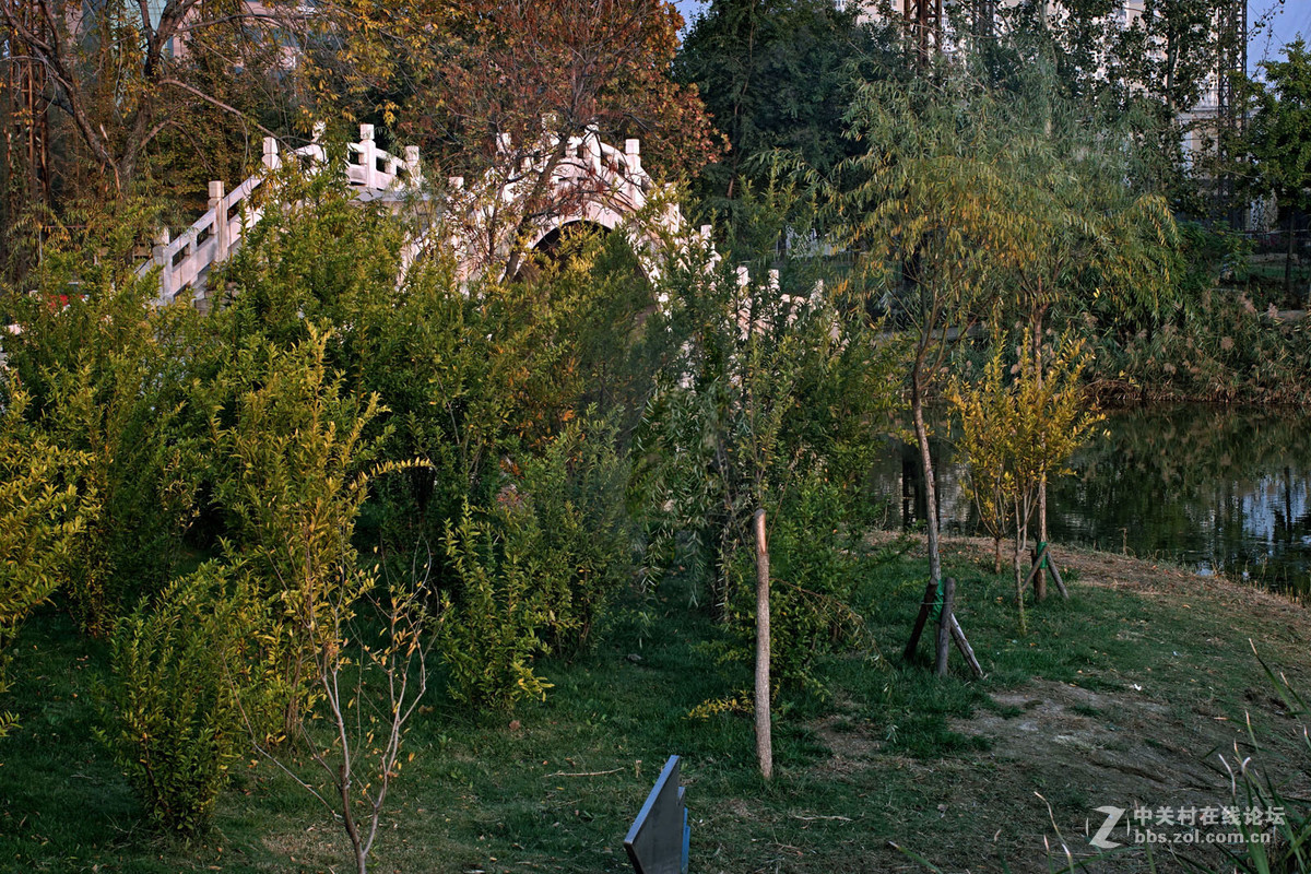 A7转接 super takumar 6x7 75/4.5 中画幅镜头  深秋红叶