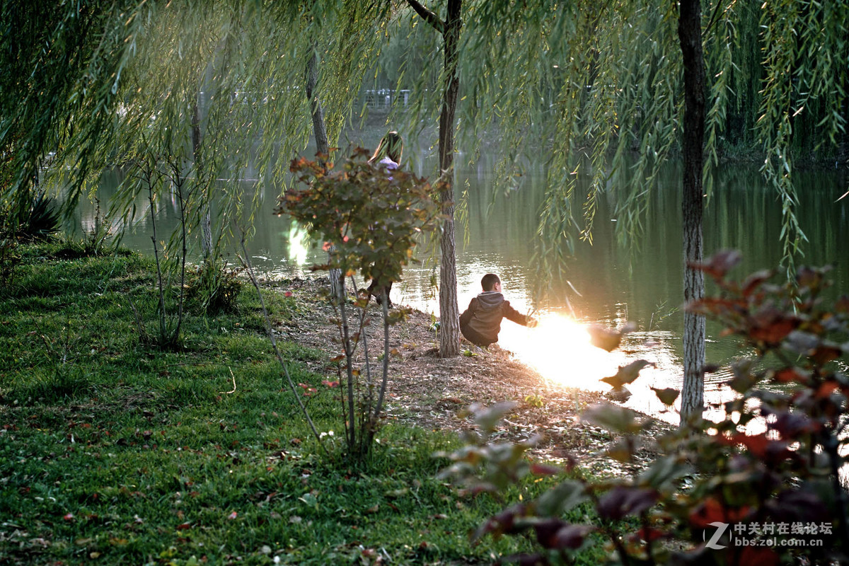 A7转接 super takumar 6x7 75/4.5 中画幅镜头  深秋红叶