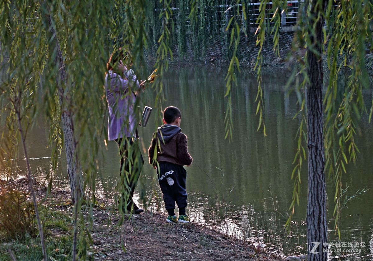 A7转接 super takumar 6x7 75/4.5 中画幅镜头  深秋红叶