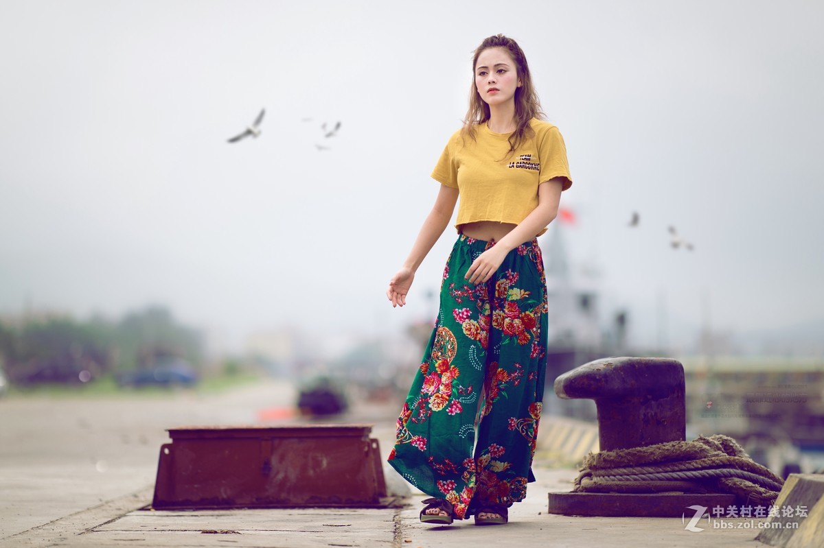 南澳岛——习拍