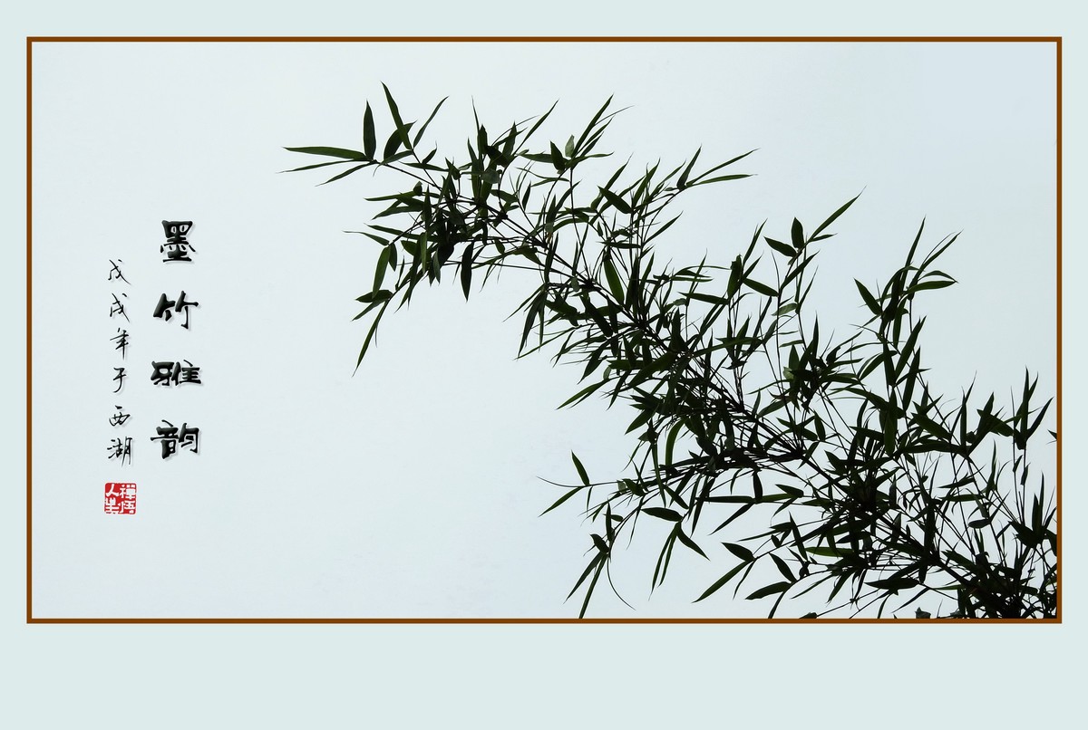 杭州瘦竹更幽雅