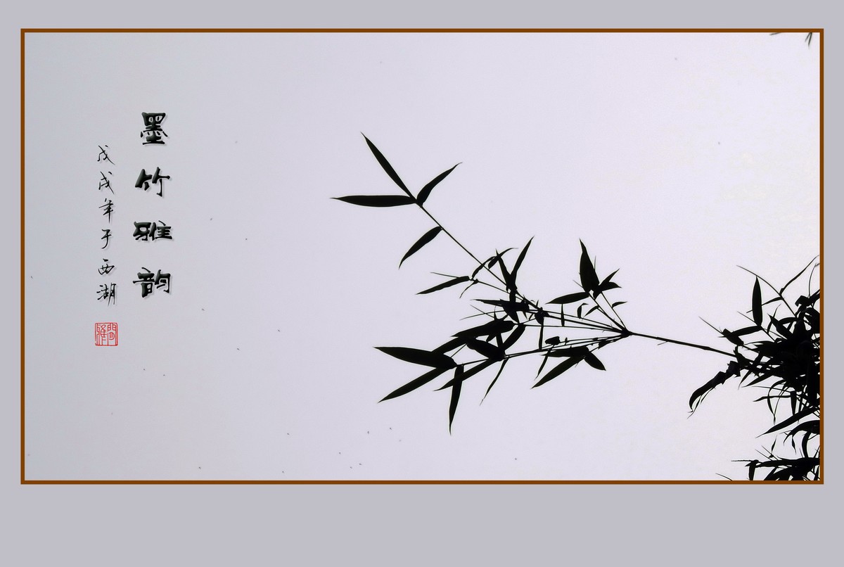 杭州瘦竹更幽雅