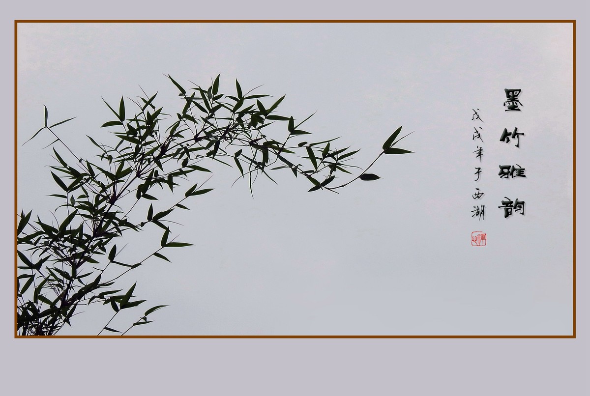 杭州瘦竹更幽雅