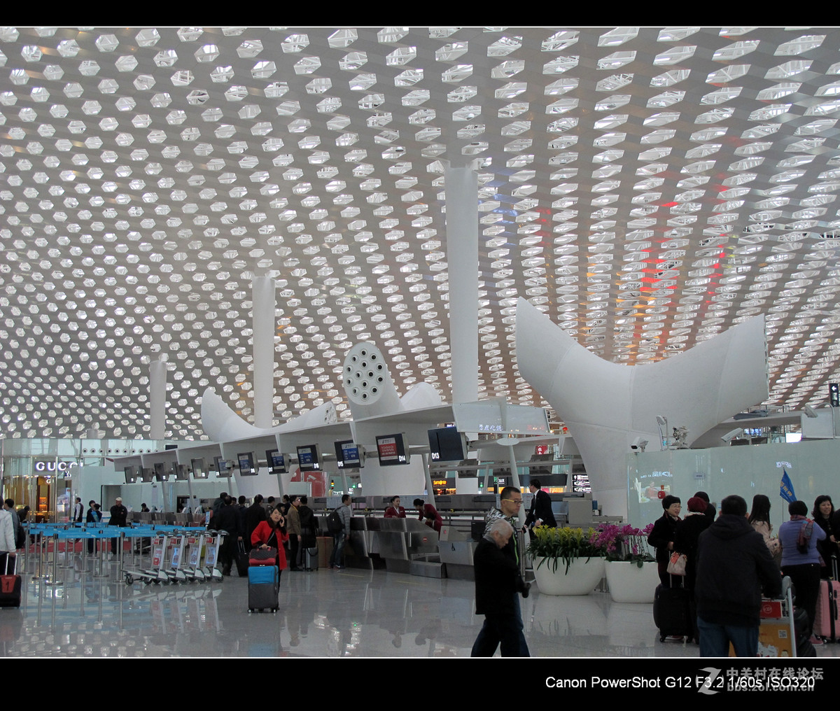 G12愿您飞得更高---深切悼念老友马未仁版主。