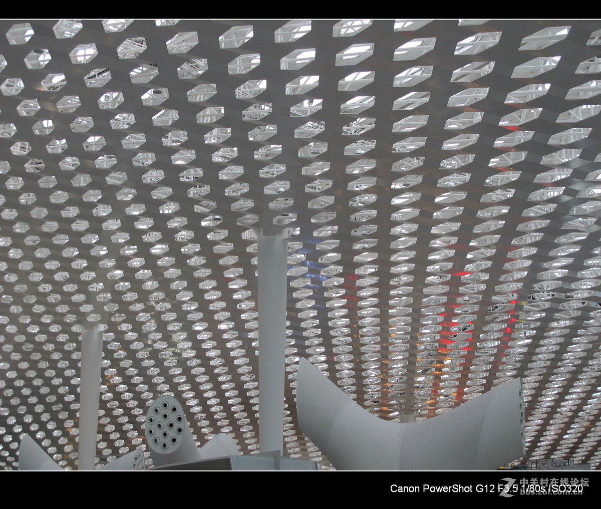 G12愿您飞得更高---深切悼念老友马未仁版主。