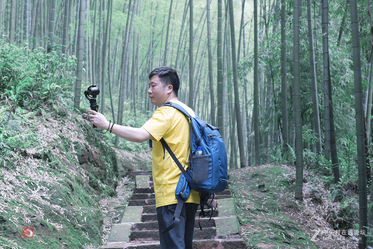 #佳能月赛-旅行的意义# 五一游蜀南竹海