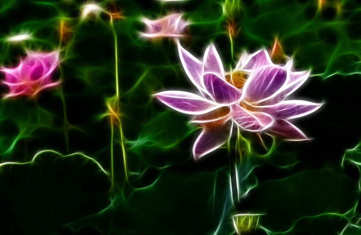 学习PS又一心得——艺术滤镜