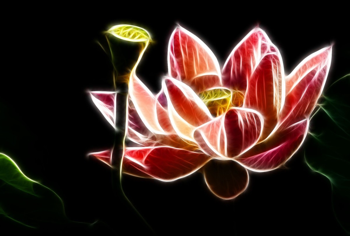 学习PS又一心得——艺术滤镜