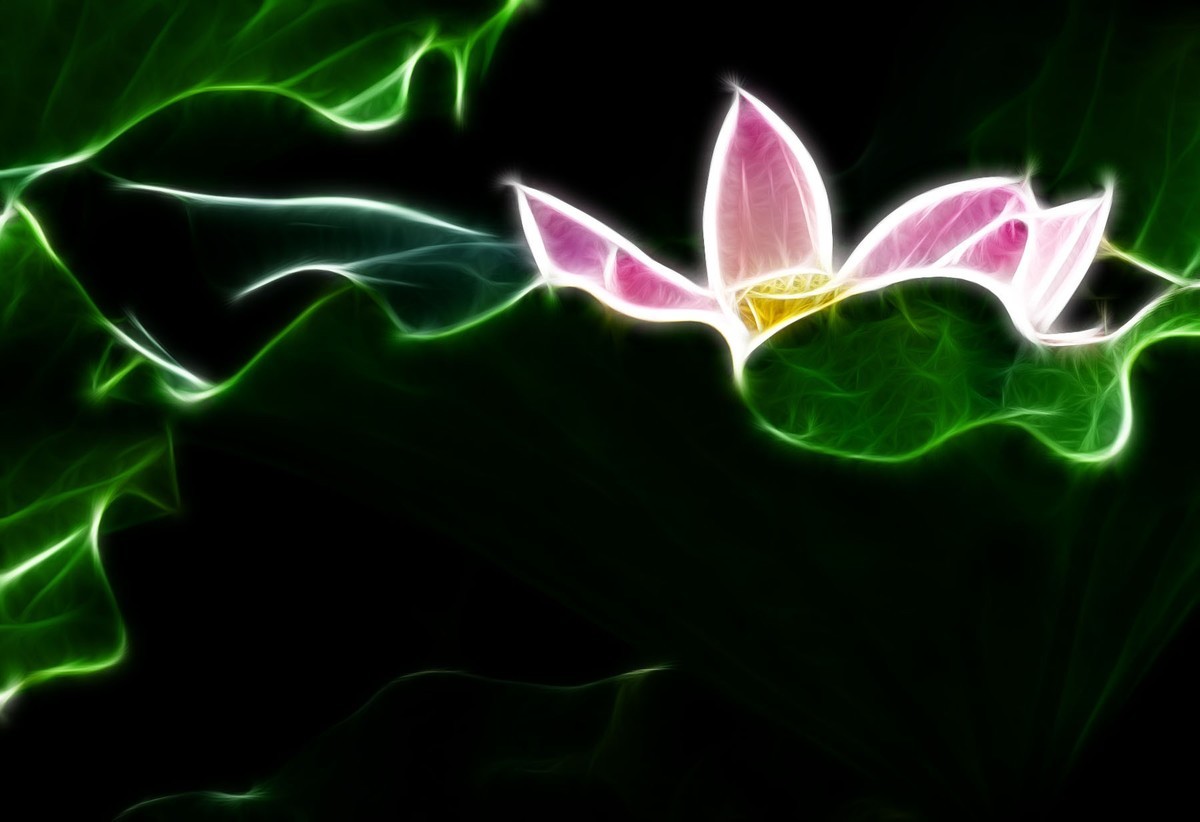 学习PS又一心得——艺术滤镜