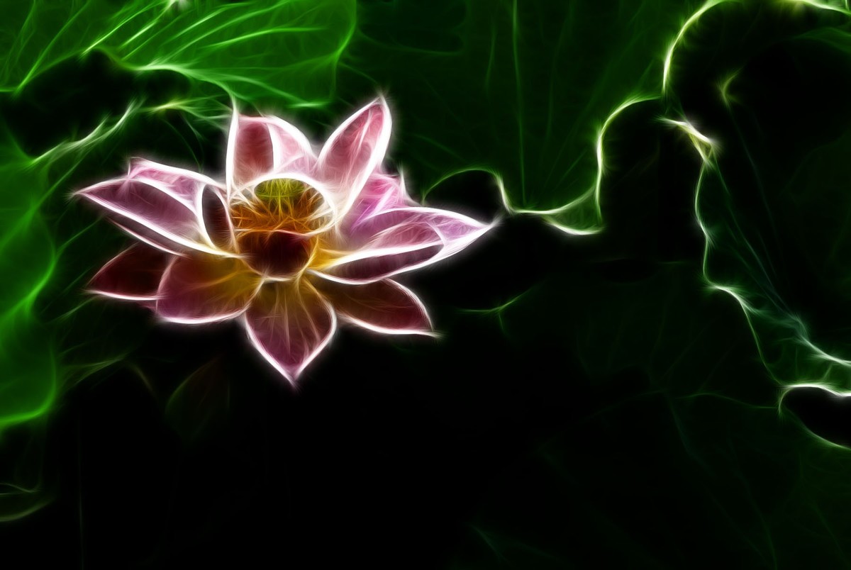 学习PS又一心得——艺术滤镜