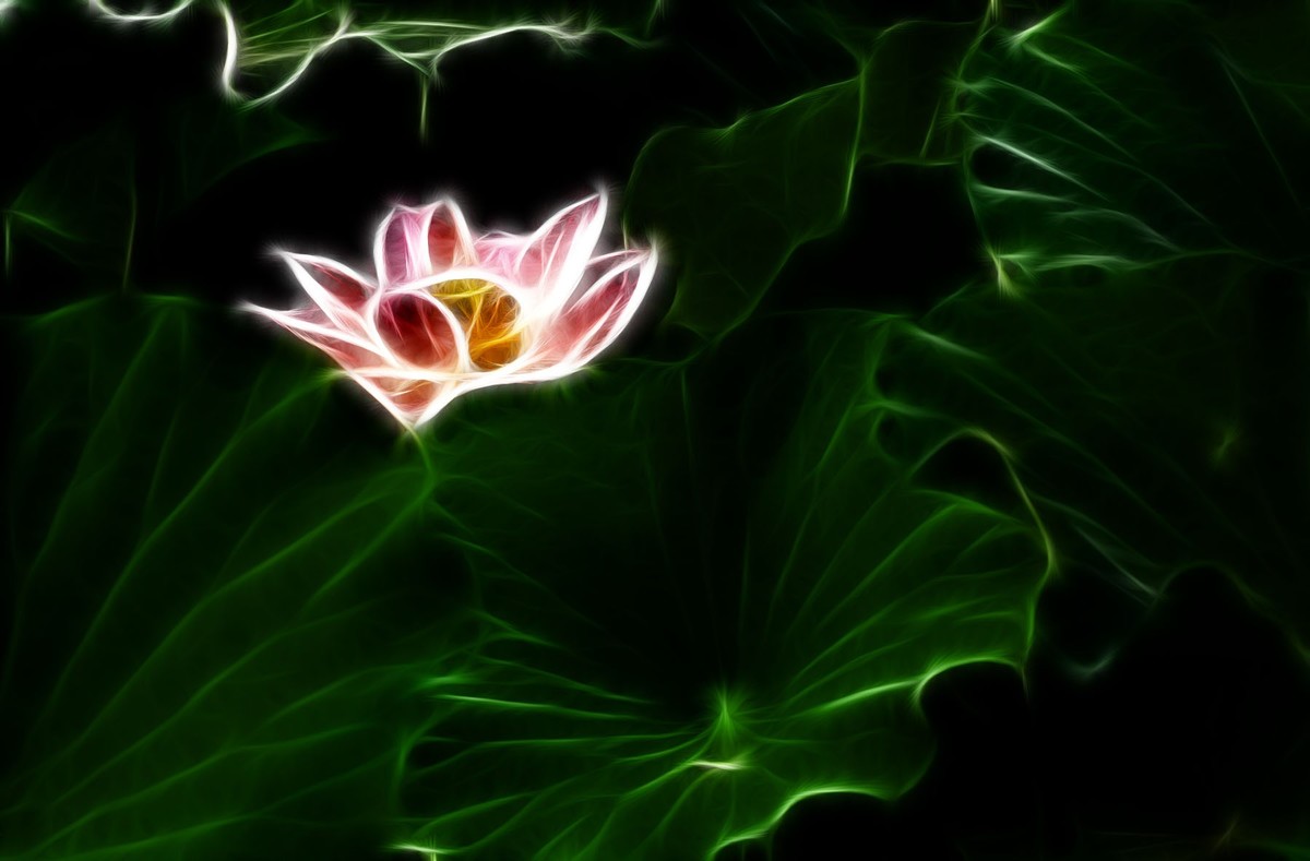 学习PS又一心得——艺术滤镜