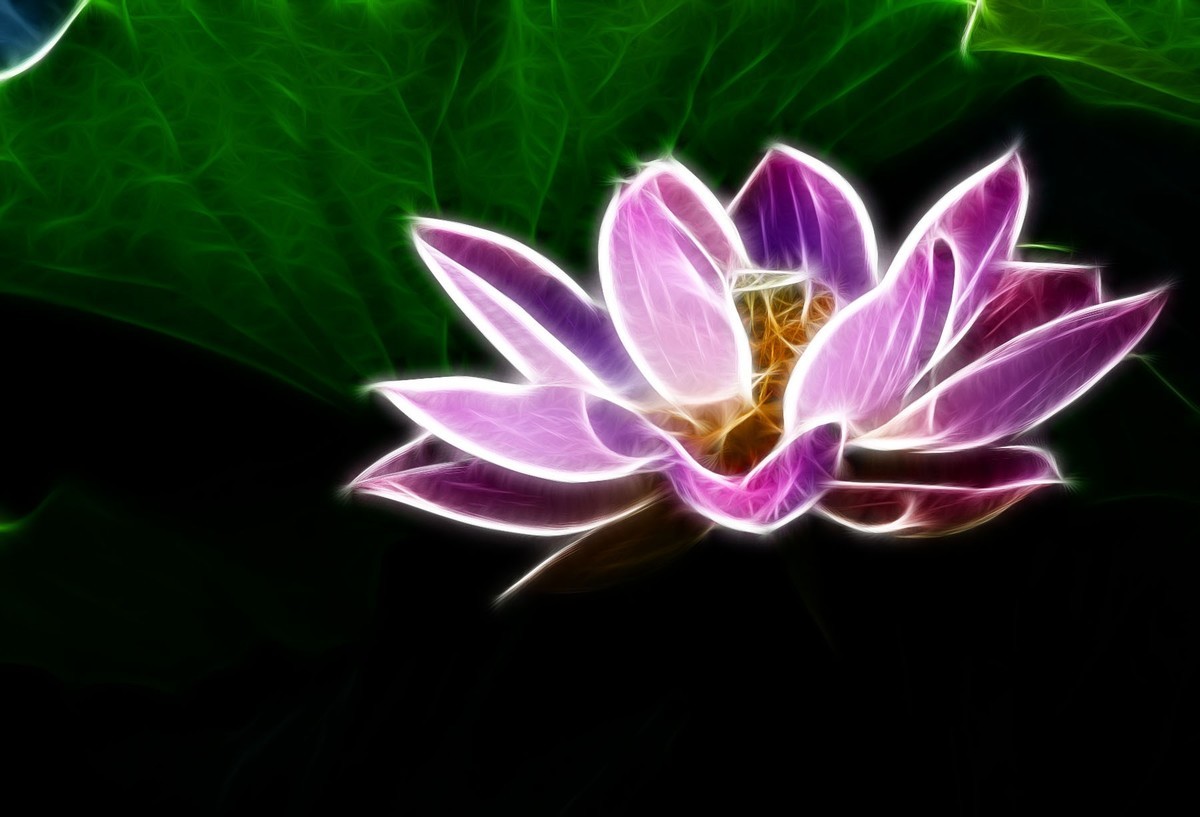 学习PS又一心得——艺术滤镜