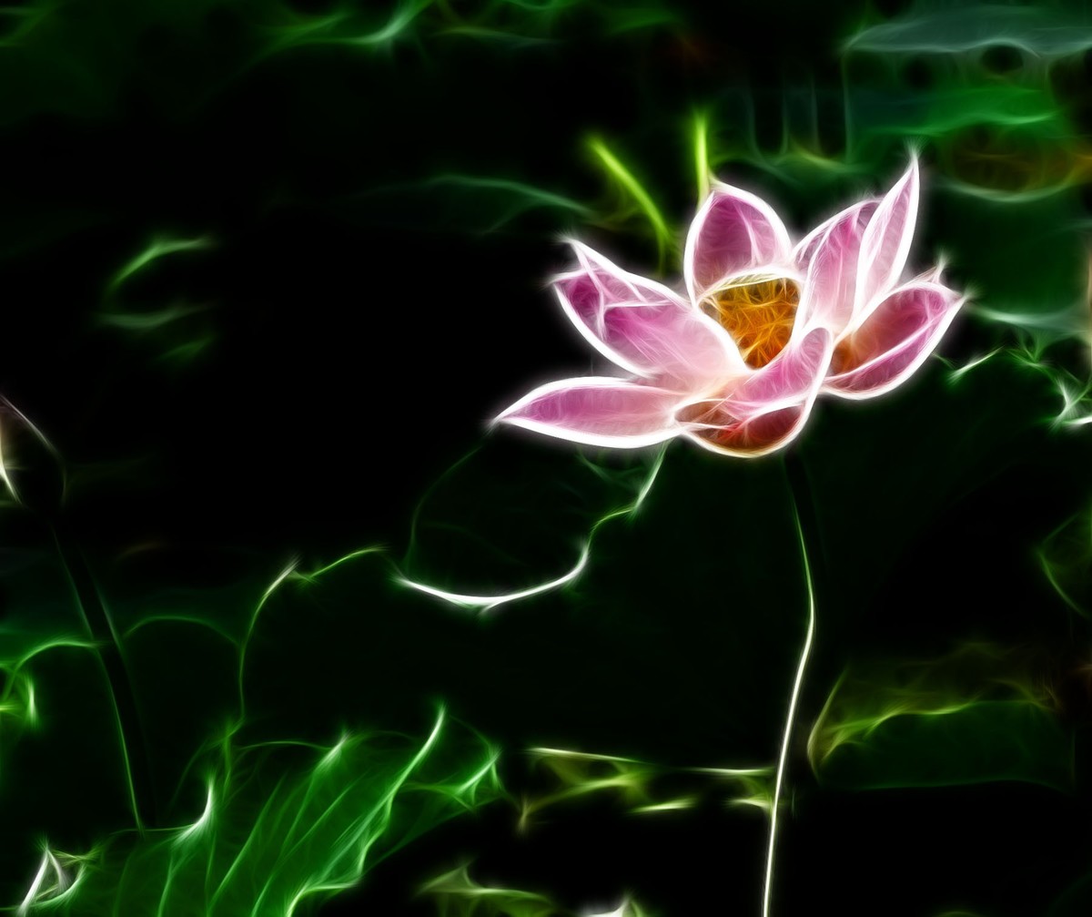 学习PS又一心得——艺术滤镜