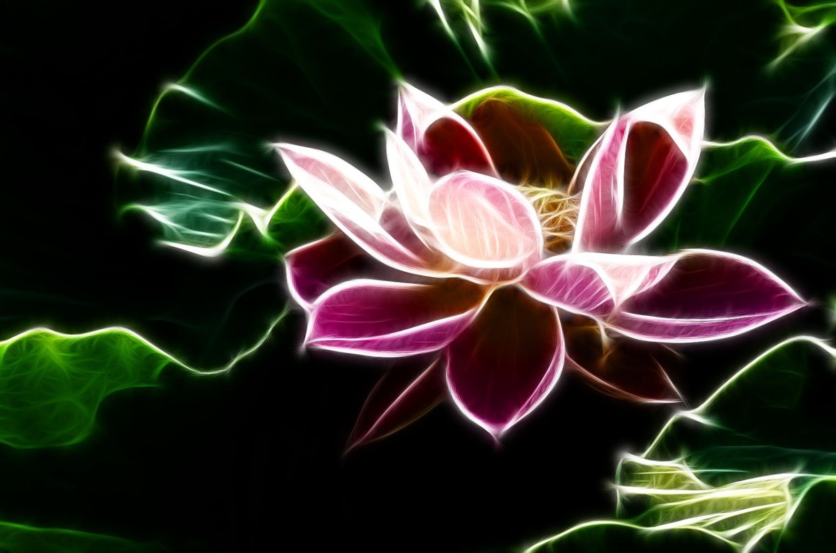 学习PS又一心得——艺术滤镜