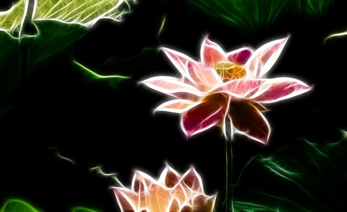 学习PS又一心得——艺术滤镜