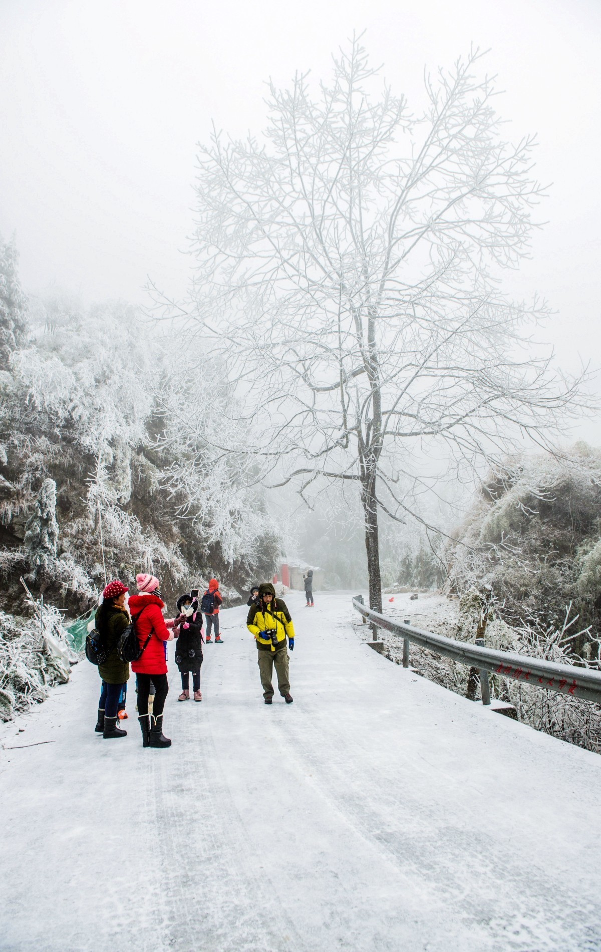 雪凇、冰棱、雾凇、景观随拍-中关村在线摄影论坛