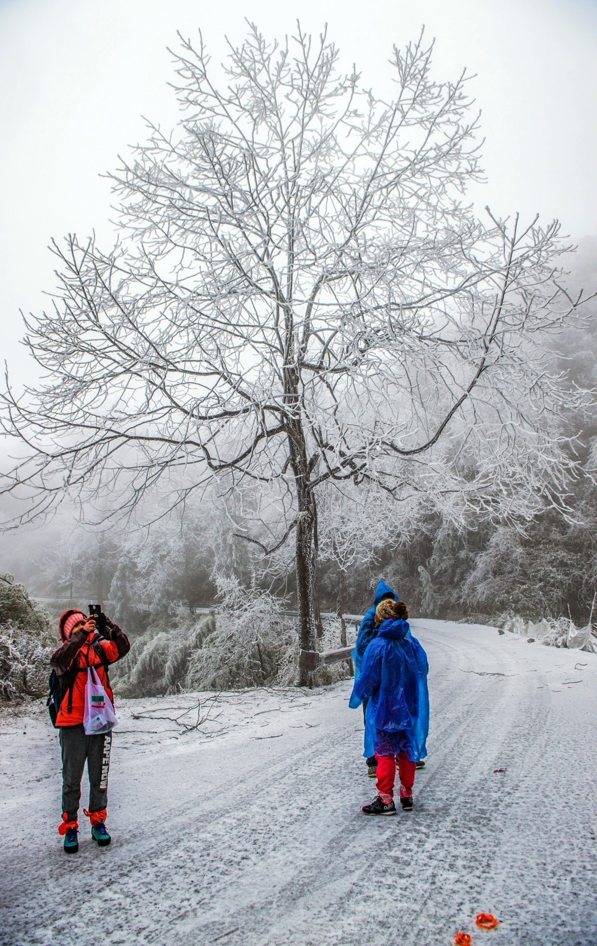 雪凇、冰棱、雾凇、景观随拍-中关村在线摄影论坛