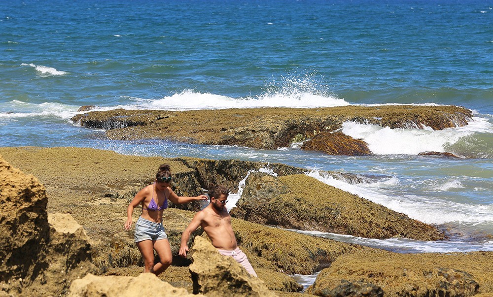 澳大利亚自驾游随拍4