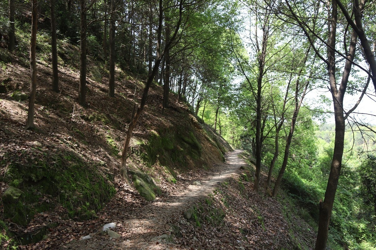 通城锡山美景，【佳能6D2+20-35 F3.5-4.5】
