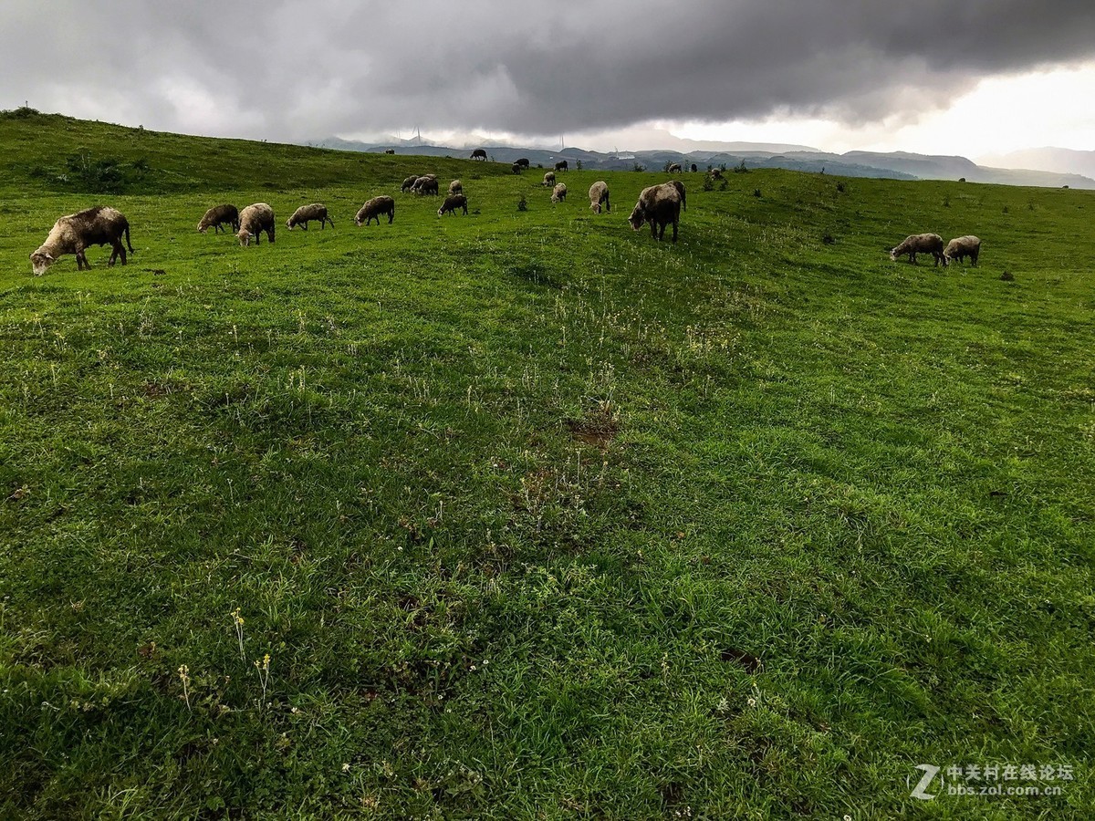 贵州行----时晴时雨中的乌蒙大草原
