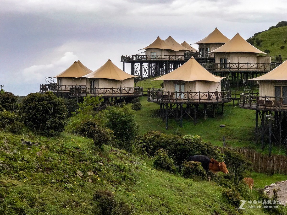 贵州行----时晴时雨中的乌蒙大草原