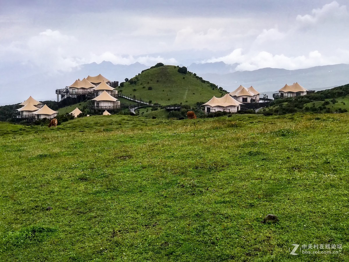 贵州行----时晴时雨中的乌蒙大草原