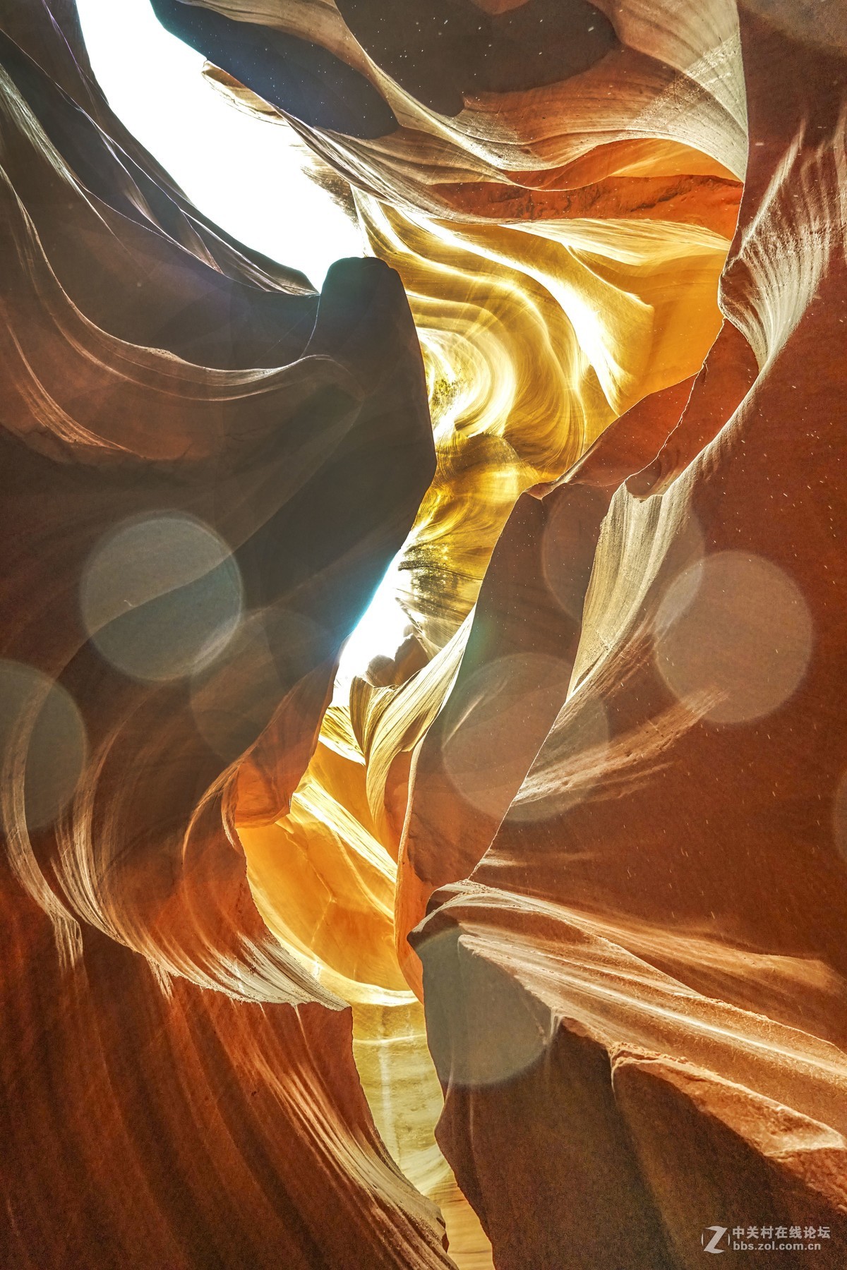 美国西部羚羊谷