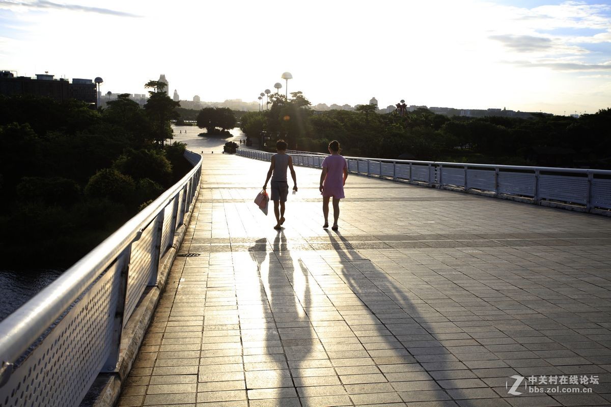 美丽的早晨顶光风光摄影