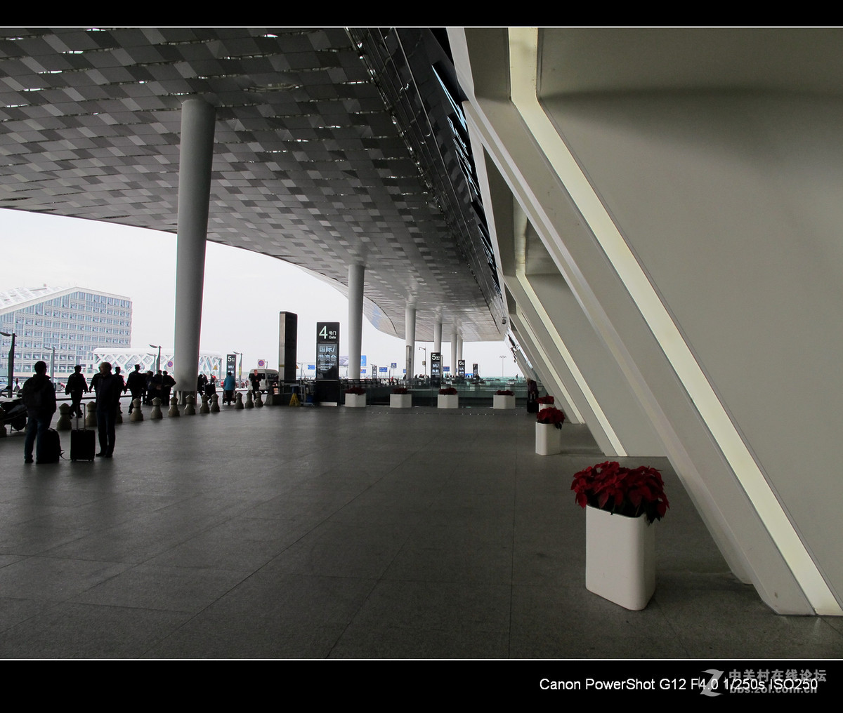 G12愿您飞得更高---深切悼念老友马未仁版主。