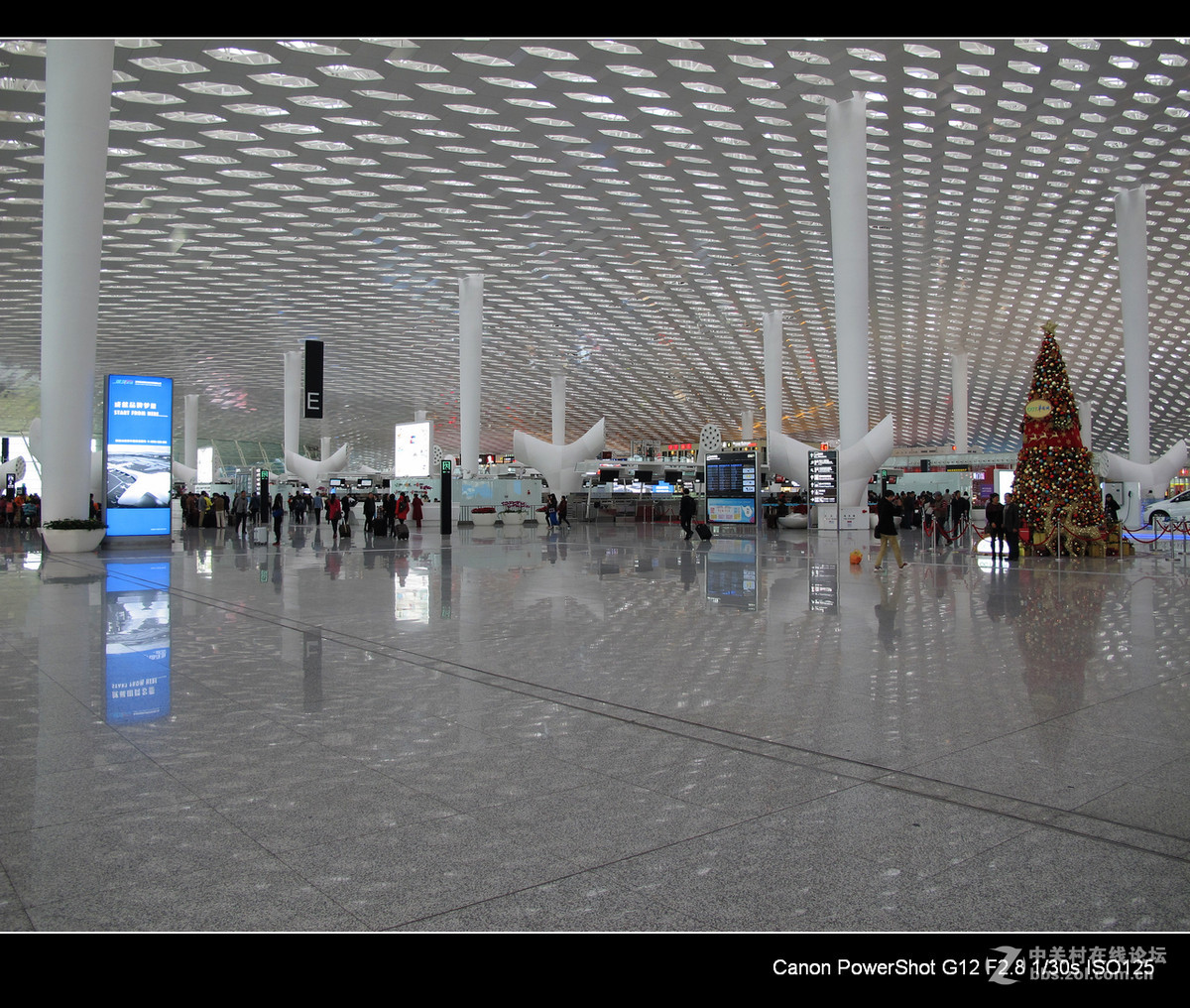 G12愿您飞得更高---深切悼念老友马未仁版主。
