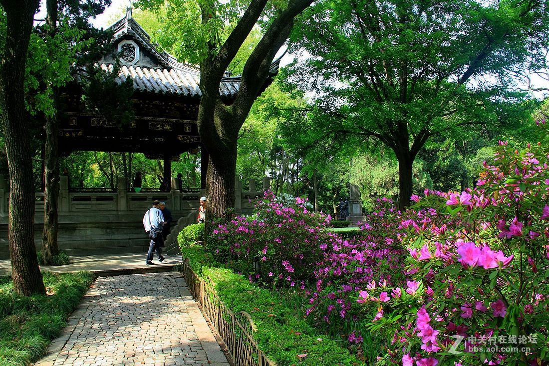 嘉定匯龍潭公園掠影