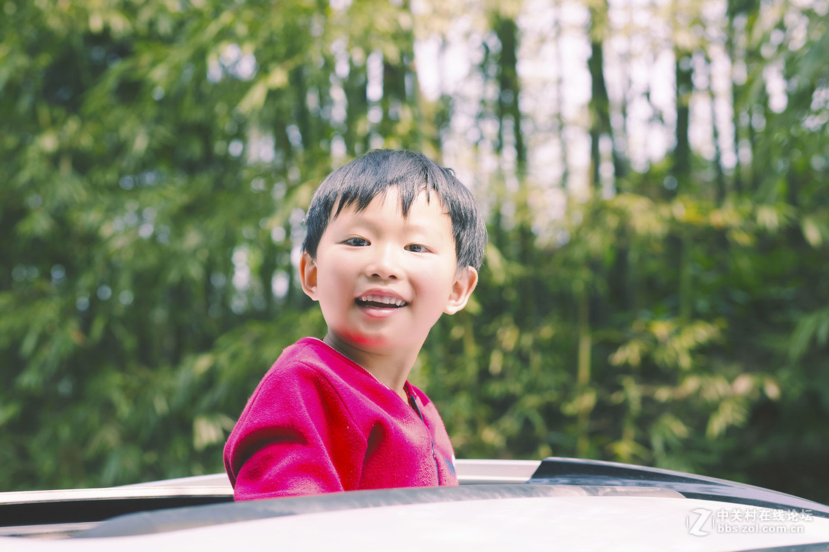 #佳能月赛-旅行的意义# 五一游蜀南竹海