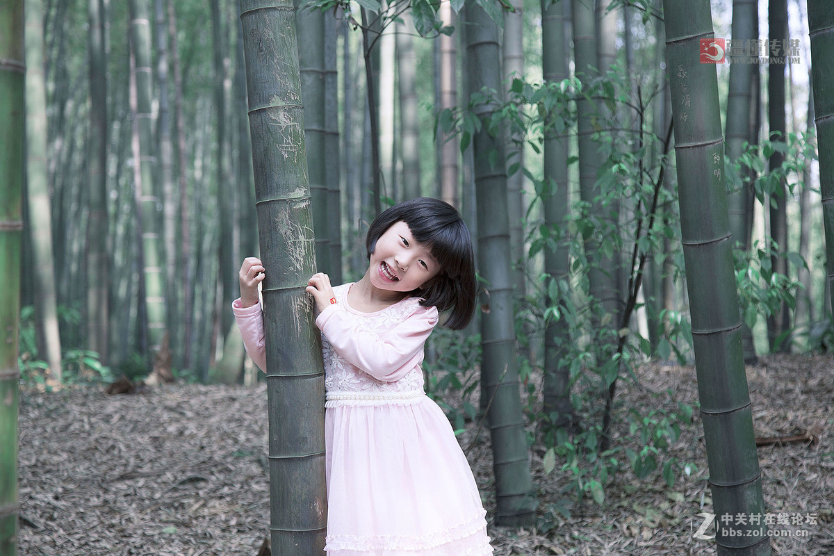 #佳能月赛-旅行的意义# 五一游蜀南竹海