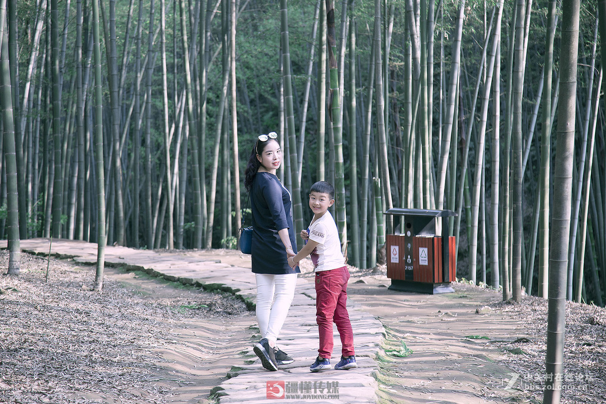 #佳能月赛-旅行的意义# 五一游蜀南竹海