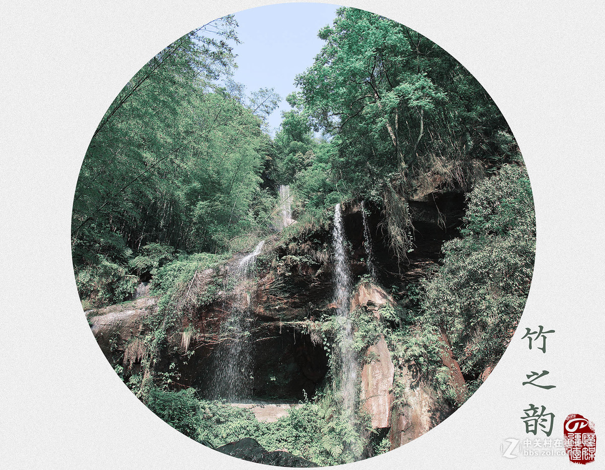 #佳能月赛-旅行的意义# 五一游蜀南竹海