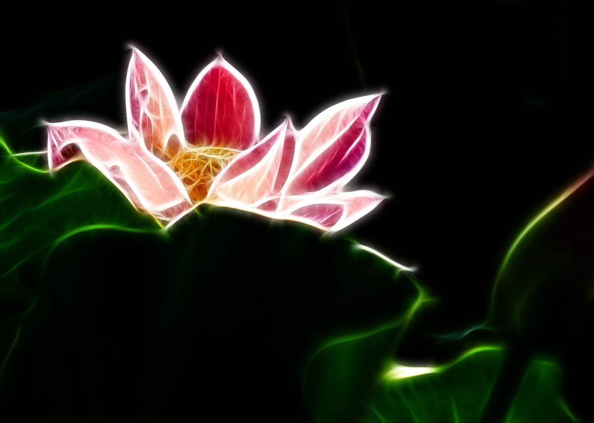 学习PS又一心得——艺术滤镜