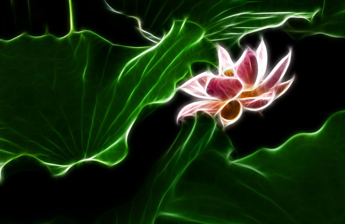 学习PS又一心得——艺术滤镜