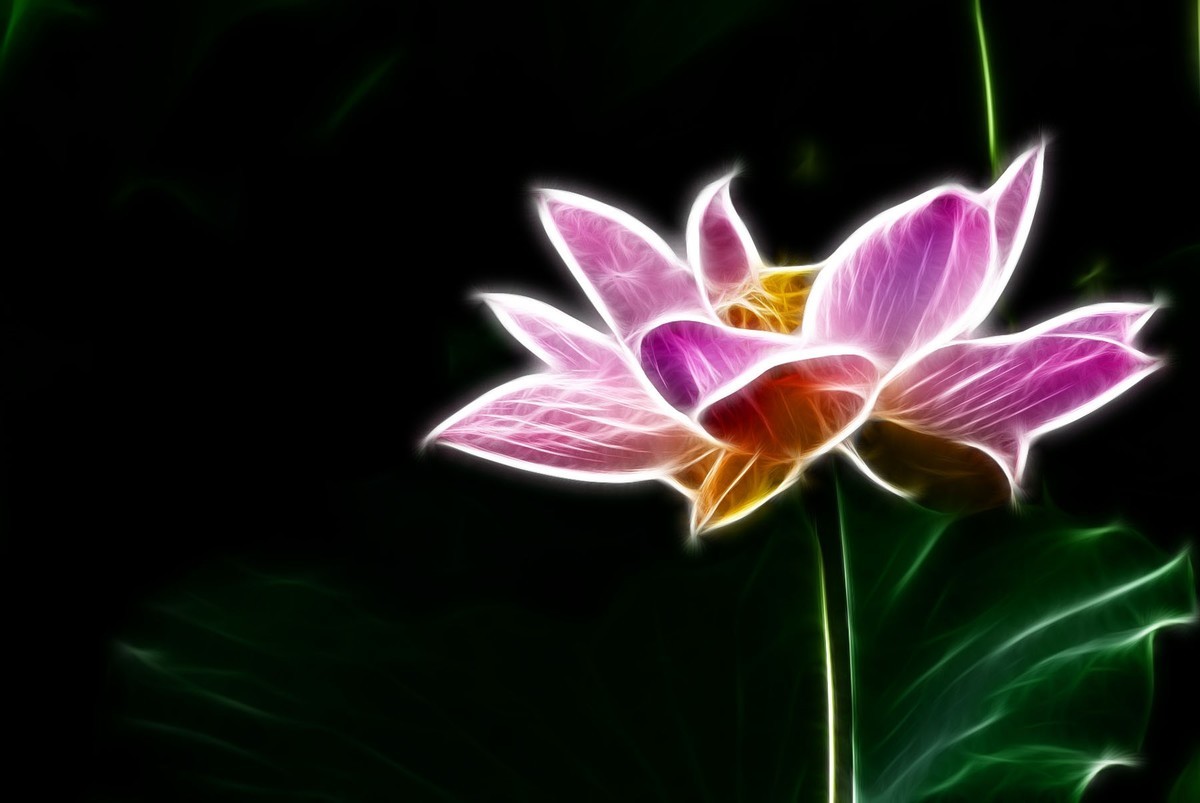 学习PS又一心得——艺术滤镜