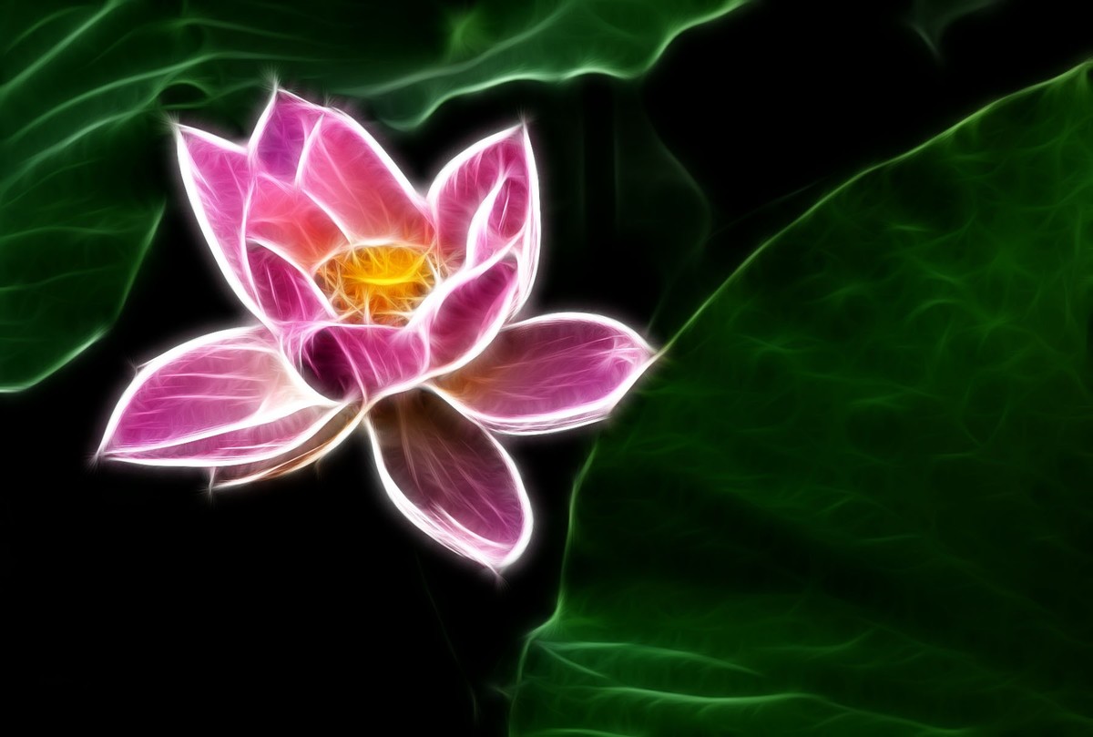 学习PS又一心得——艺术滤镜