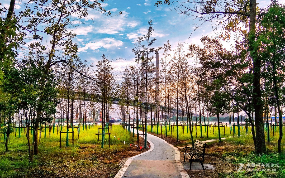 黄昏 没有灰暗只有快乐