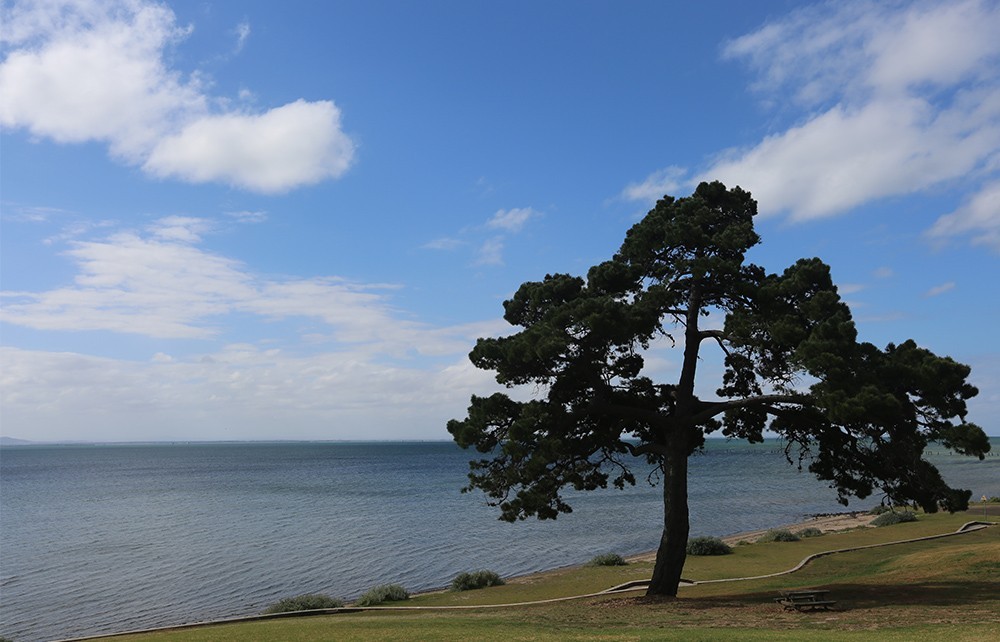 澳大利亚自驾游随拍4