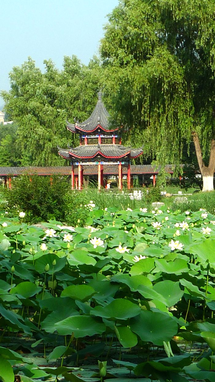 鲜为人知的无名园林