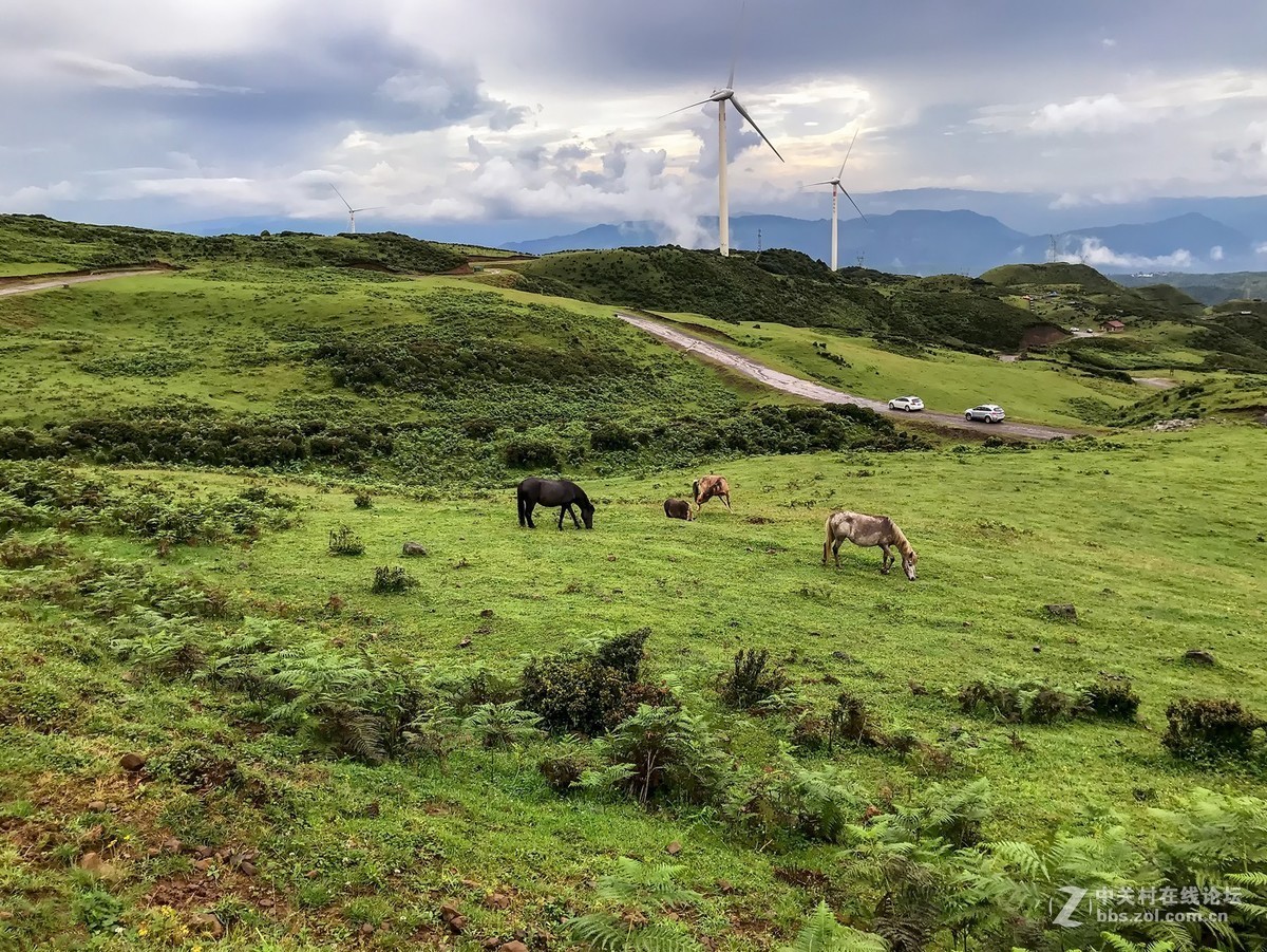 贵州行----时晴时雨中的乌蒙大草原
