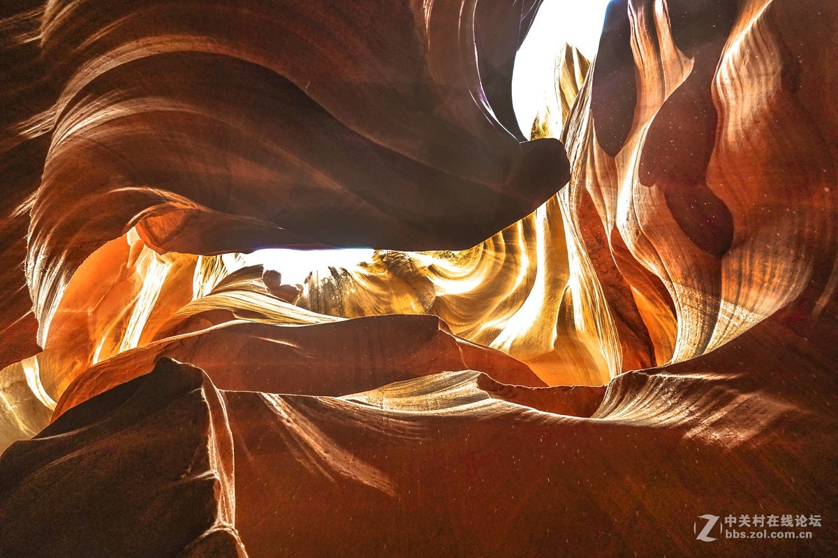 美国西部羚羊谷